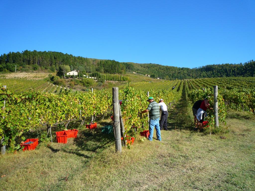 Fattoria Il Lago Dicomano Exterior photo